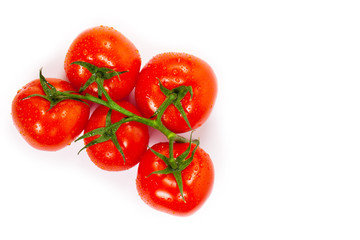Red Tomatoes on the Vine on white background. Selective focus.