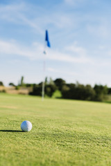 Obraz premium Golf club and ball in grass.