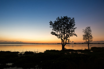 Fototapeta na wymiar Silhouette tree in lake at Sunset,Thailand.
