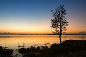 Naklejka na ściany i meble Lonely tree in lake at Sunset