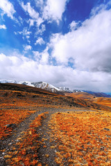 Snowy mountain peaks above the orange steppe and mountain road.