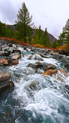 Autumn mountain river