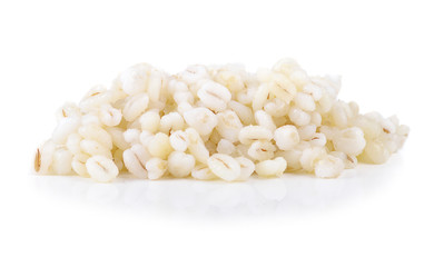 white sorghum isolated on white background.