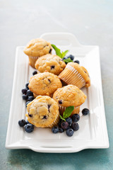 Blueberry muffins on a plate