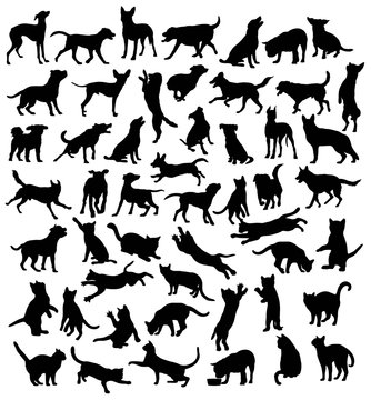 Cat and Dog, Pet Animal, Silhouettes, art vector design