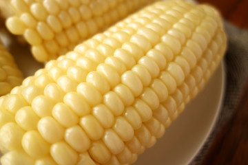 白いトウモロコシ