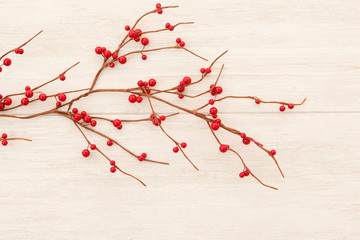 Christmas branch with red berries