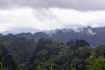 Fototapeta na wymiar Green jungle of Laos. Clouds on top of the mountains