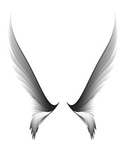 Gray pair wings on white background, design element 