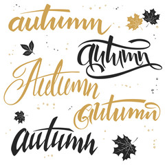 vector illustration of hand lettering word - autumn, written in various styles