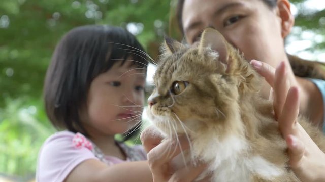 4K : Lovely little Asian girl and mother playing with Persian cat