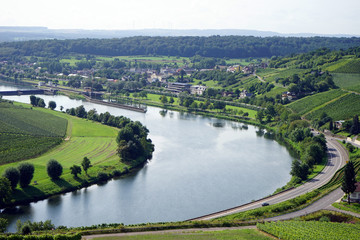 Moselle river and vineyards