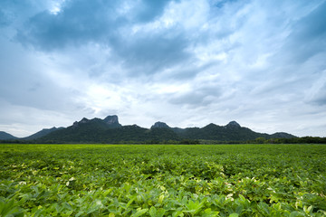 Fototapeta na wymiar Khao Jeen Lae in cloudy day, big mountain at Thailand