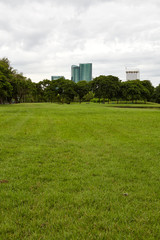 Obraz premium City park