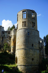 Fototapeta na wymiar Ruins of castle