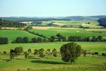 View of green valley