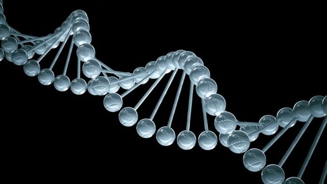DNA model - looped animation