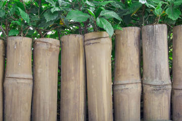 Naklejka premium bamboo wooden fence with green leaf in garden background
