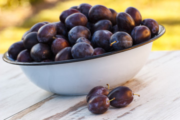 Heap of plums in metal bowl on wooden table in garden on sunny day