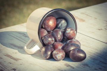 Obraz premium Vintage photo, Plums spill out of metallic mug on wooden table in garden on sunny day