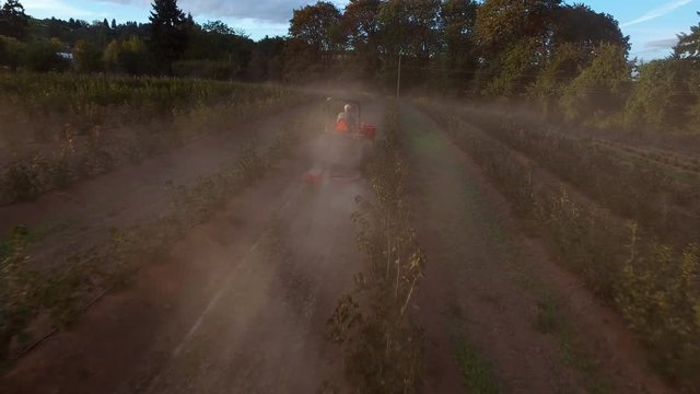 Farmer mowing dusty crops on tractor