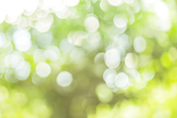 Defocused abstract green background