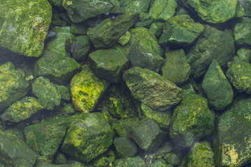 green moss rock underwater in hot spring.