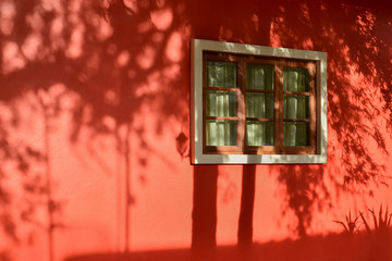 Shadow of tree on redwall with window