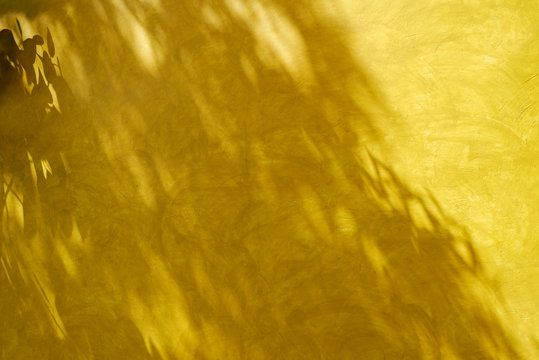 Shadow of leaves on retro style yellow wall