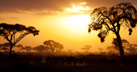Obraz na płótnie Canvas Typical african sunset with acacia trees in Masai Mara, Kenya