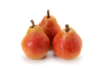 レッドバートレット