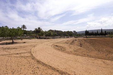Ackerland