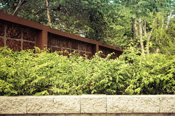 Vintage Brick wall and green leaf