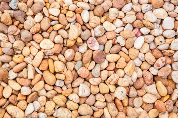 white ,orange pebbles background orange pebbles background
