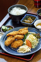 travel in Japan