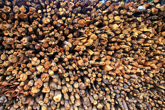 firewood