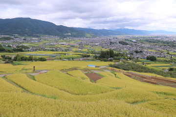 Fototapeta premium 姨捨の棚田