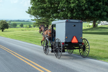 wagon buggy in lancaster pennsylvania amish country