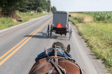 wagon buggy in lancaster pennsylvania amish country