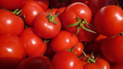 many fresh red round tomatoes