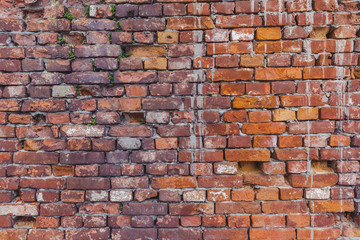 Naklejka premium Red brick wall background