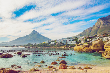Fototapeta premium Beautiful beach in Cape Town