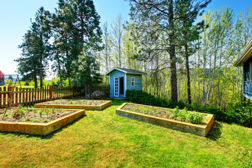 Wooden raised vegetable garden beds in the back yard.