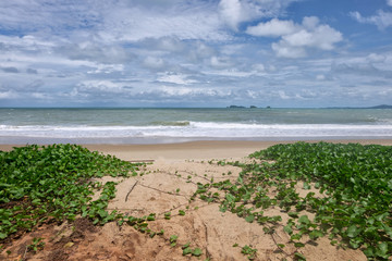 Turquoise sea waves at Rayong Thailand. The beach and Ivy