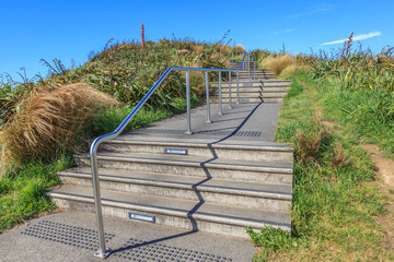 Walking track in Mount Victoria Lookout, Wellington in New Zeala © mrcmos