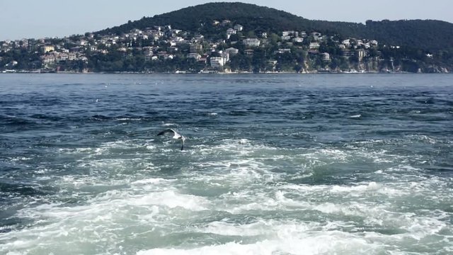 TURKEY, ADALAR. View Of Water Trail