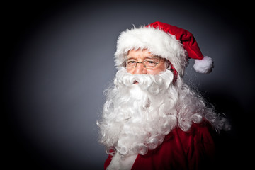 santa claus portrait