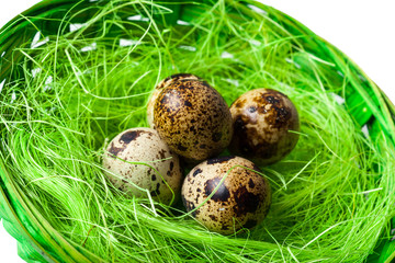 Obraz premium Quail eggs in the nest