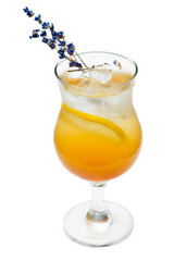 orange cocktail  in high ball glass