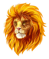 Lion's head. EPS10 vector illustration